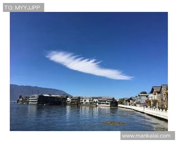 西安羽毛球队总决赛逆袭之旅背后的奋斗与荣耀 西安羽毛球队总决赛逆袭之旅背后的奋斗与荣耀