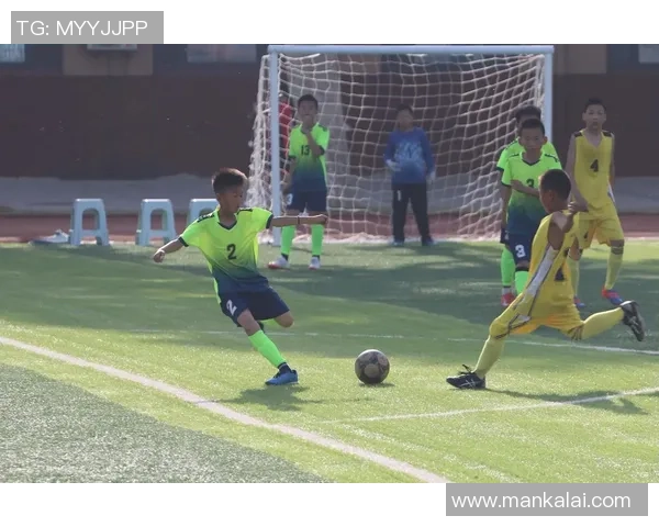 足球明星汇聚一堂打造梦幻球队共同追逐绿茵场上的荣耀与胜利