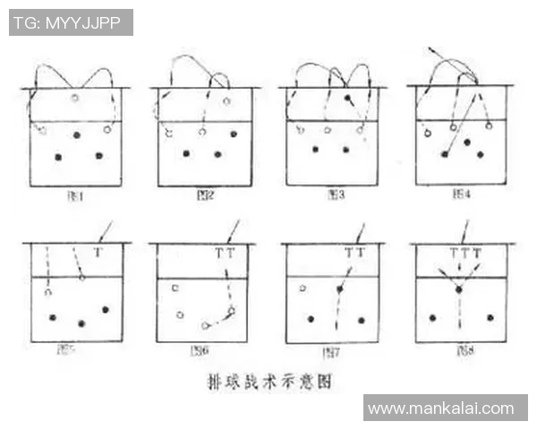 南京排球队战术表现深度解析与数据分析探讨 南京排球队战术表现深度解析与数据分析探讨