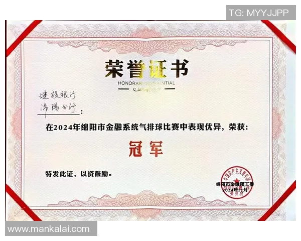 上海排球队的精神风貌与团队意识探讨