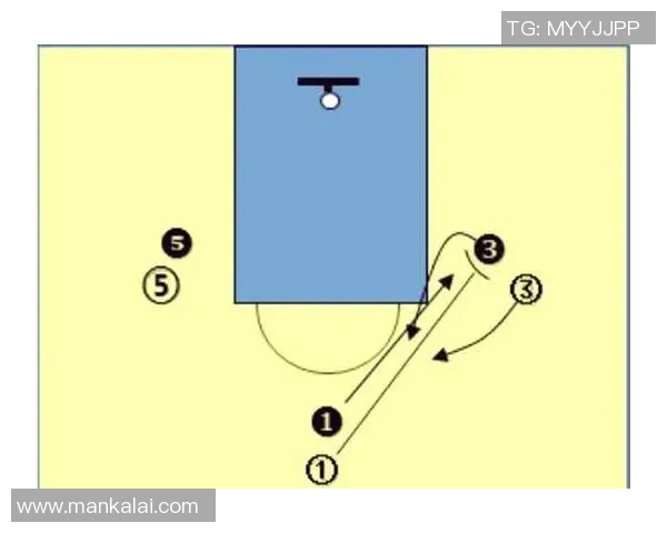 杭州篮球队战术解析：深入探讨其控制体系与比赛策略的结合与应用